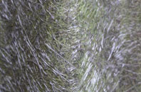 Knelston fibreglass roof work